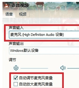 麦克风输入的选项