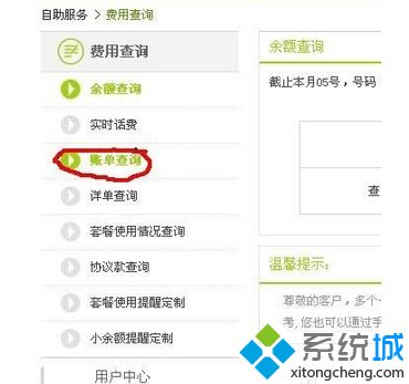 点击左侧的“账单查询”