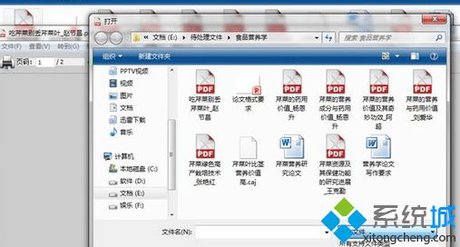 打开PDF阅读器