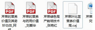 查看CAJ文件