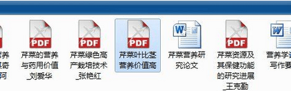 CAJ文件变成PDF文件