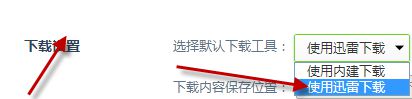 使用迅雷下载