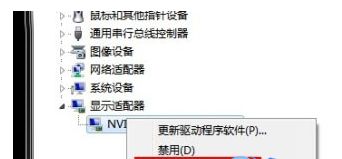 找到“显示适配器”