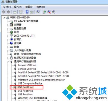 找“usb root hub” 